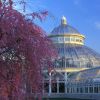 New York Botanical Garden Antique Furniture Show And Sale